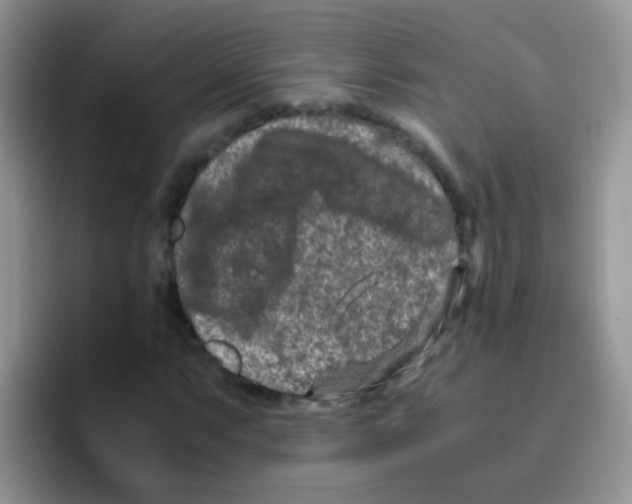 X0000095911063200802081048