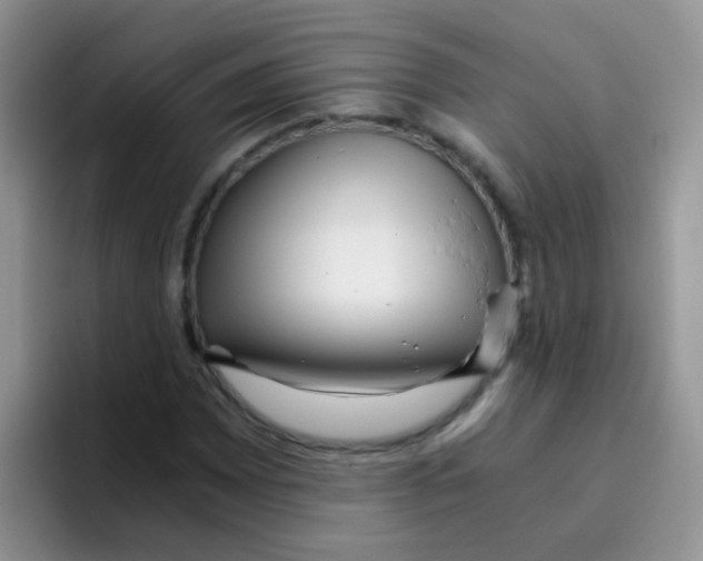 X0000095911065200802081048