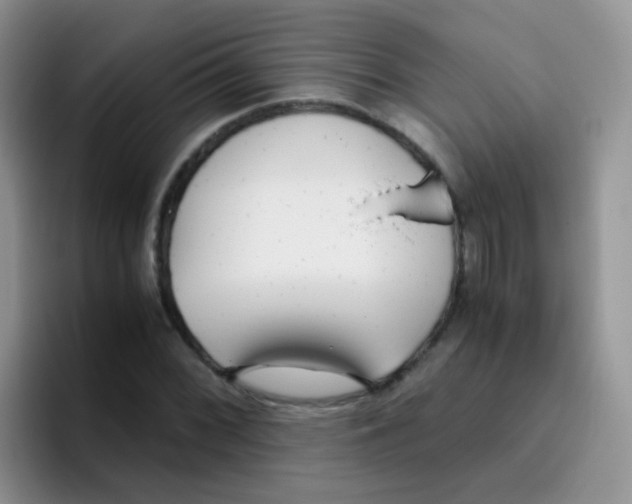 X0000095911068200802081048