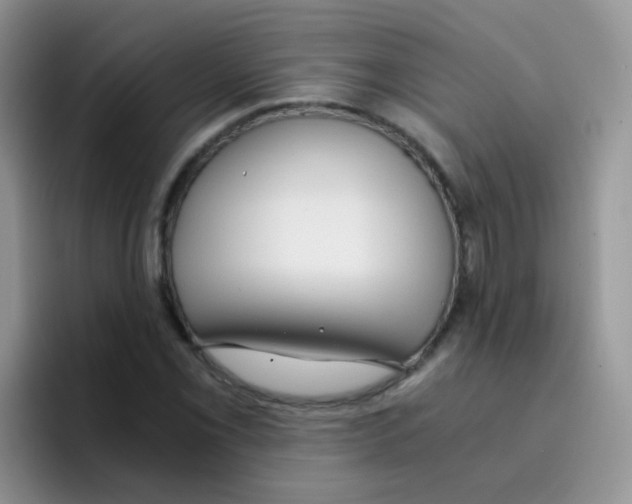 X0000095911069200802081048