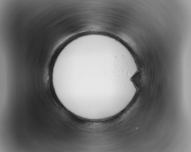 X0000095911070200802081048