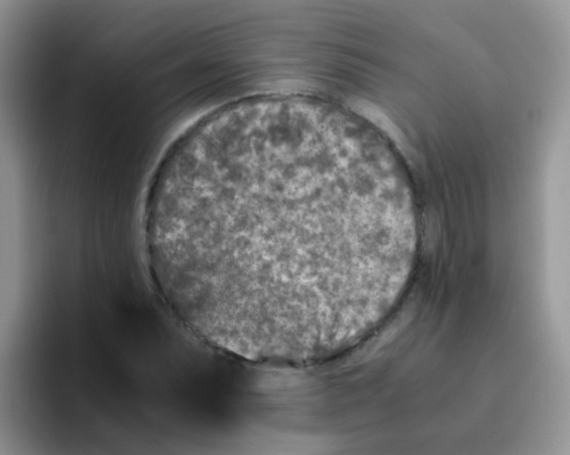 X0000095911071200802081048