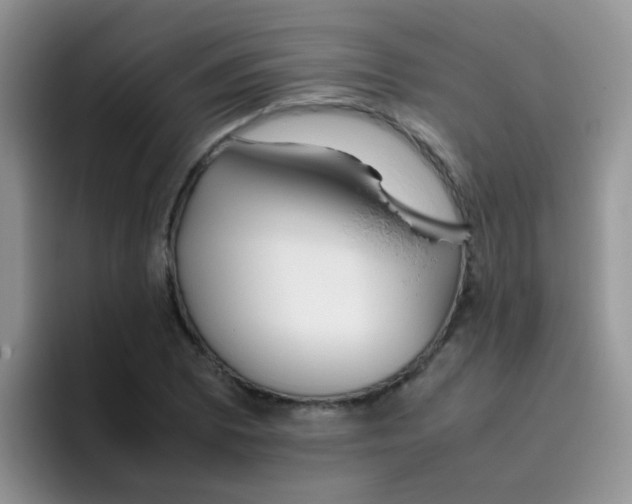 X0000095911073200802081048