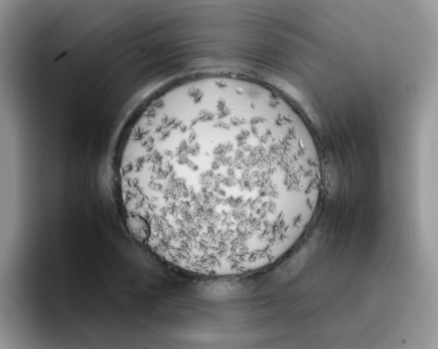 X0000095911074200802081048