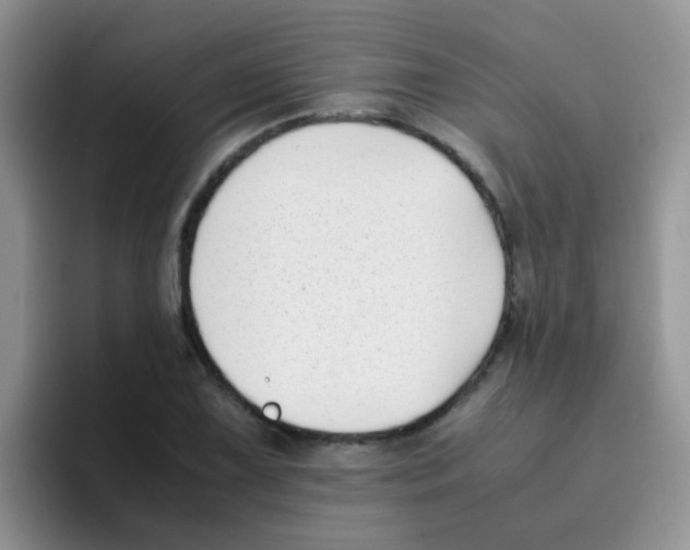 X0000095911075200802081048