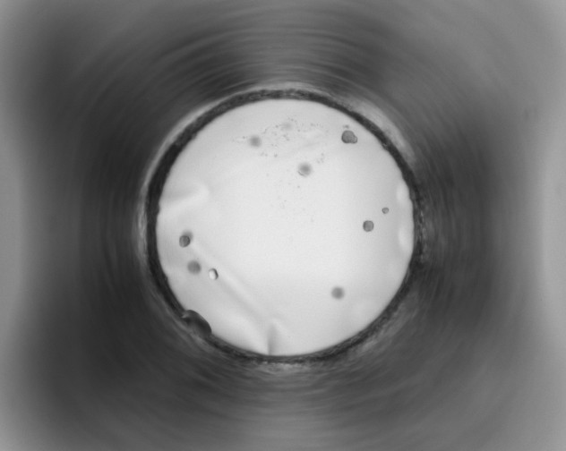 X0000095911076200802081048