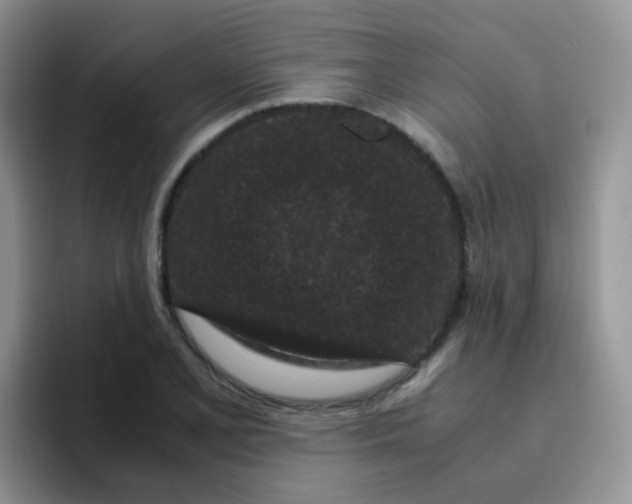 X0000095911077200802081048