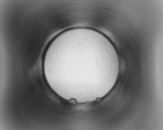 X0000095911078200802081048