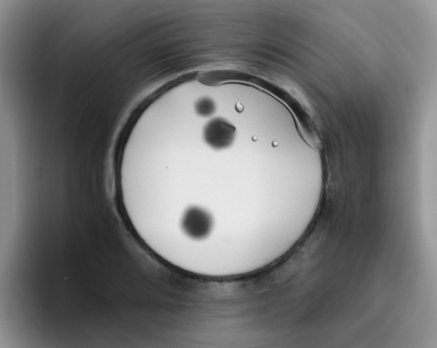 X0000095911080200802081048