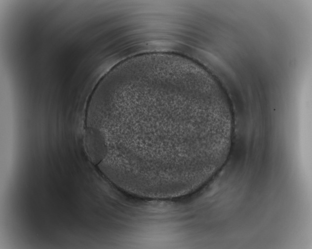 X0000095911081200802081048