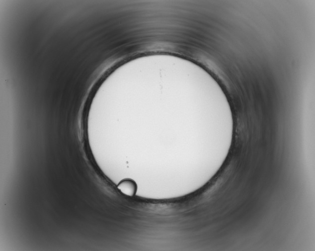 X0000095911082200802081048