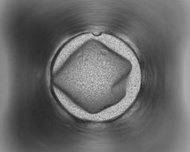 X0000095911083200802081048