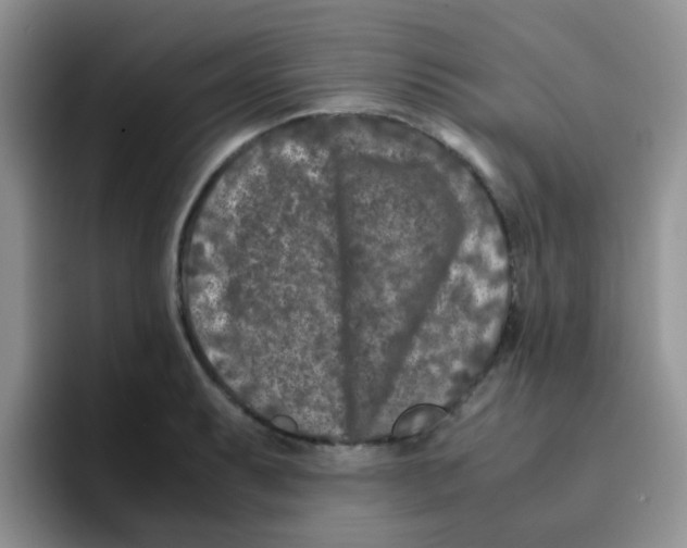 X0000095911087200802081048