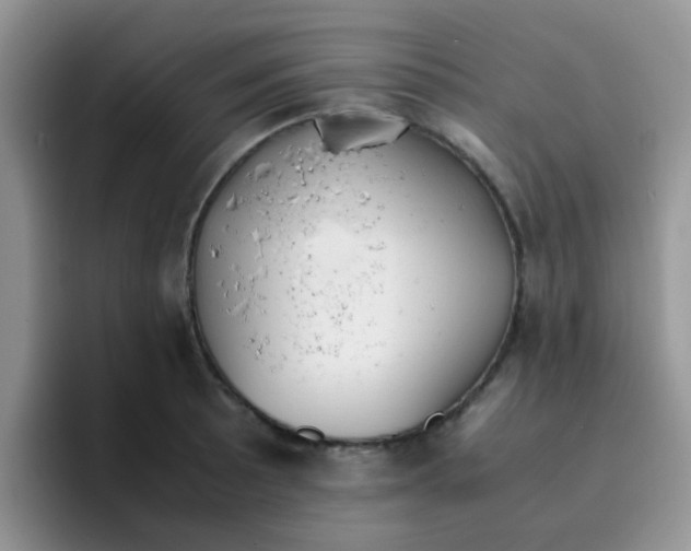 X0000095911089200802081048