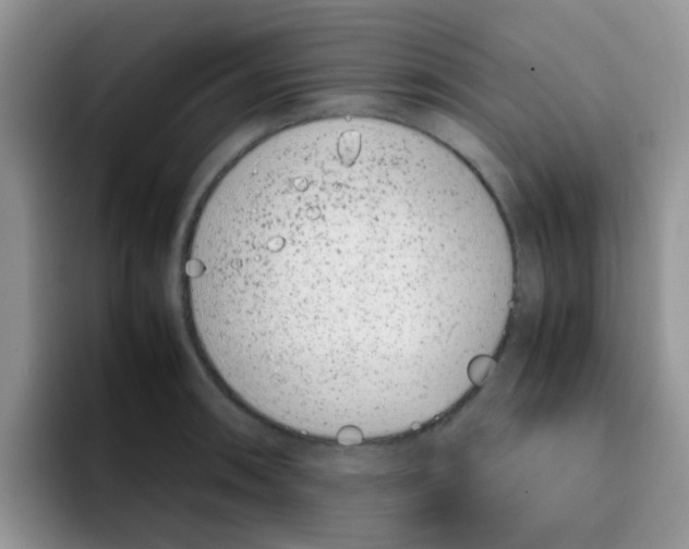 X0000095911090200802081048