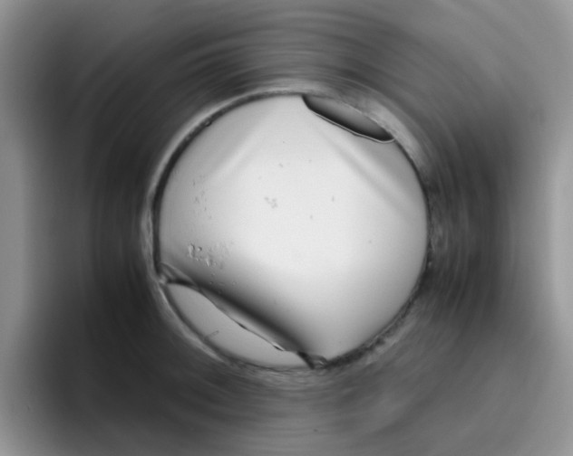 X0000095911092200802081048