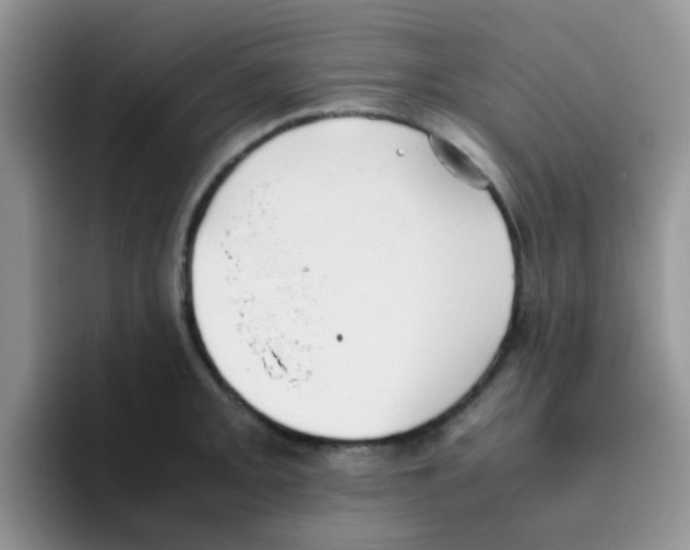 X0000095911093200802081048