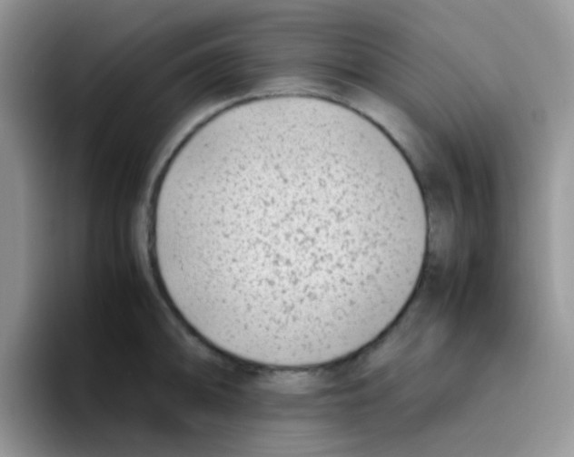 X0000095911094200802081048