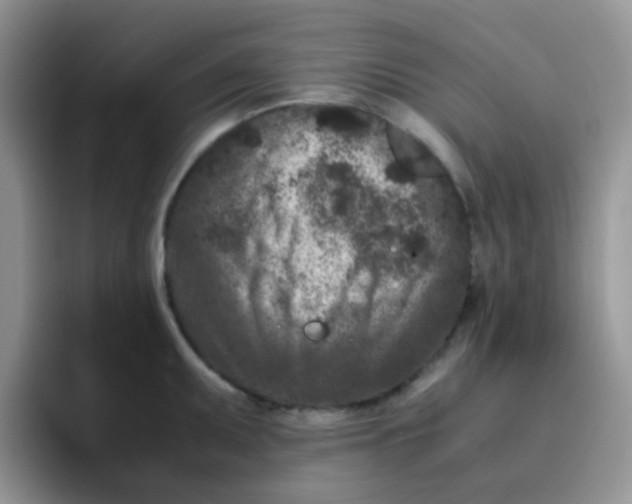 X0000095911095200802081048