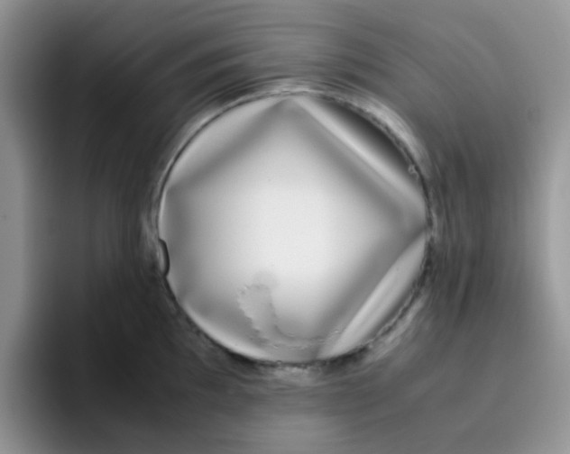 X0000095911097200802081048