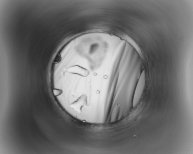 X0000095911099200802081048