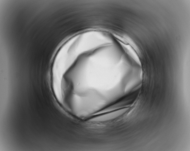 X0000095911100200802081048