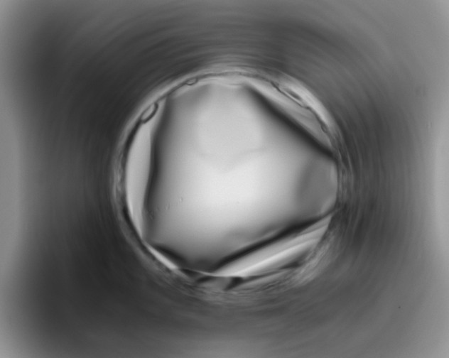 X0000095911101200802081048