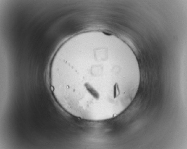 X0000095911103200802081048