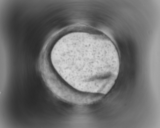 X0000095911104200802081048