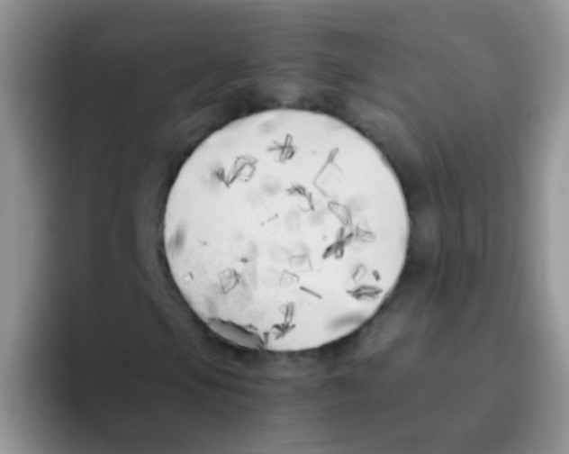 X0000095911105200802081047