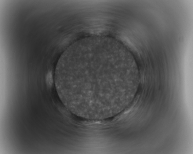 X0000095911106200802081047