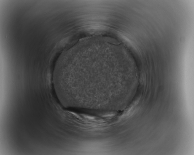 X0000095911108200802081047