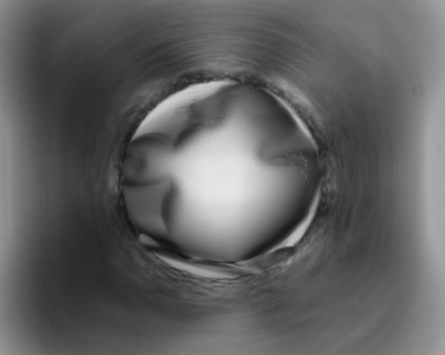 X0000095911110200802081047