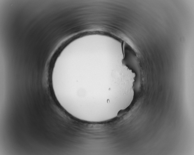 X0000095911116200802081047