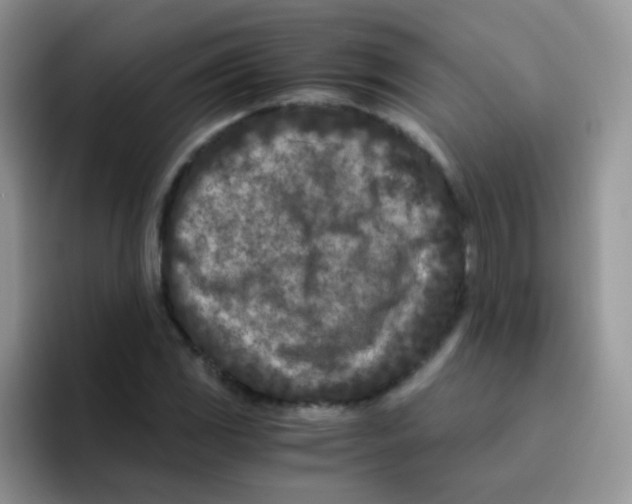 X0000095911117200802081047