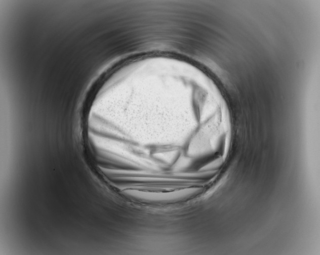 X0000095911118200802081047