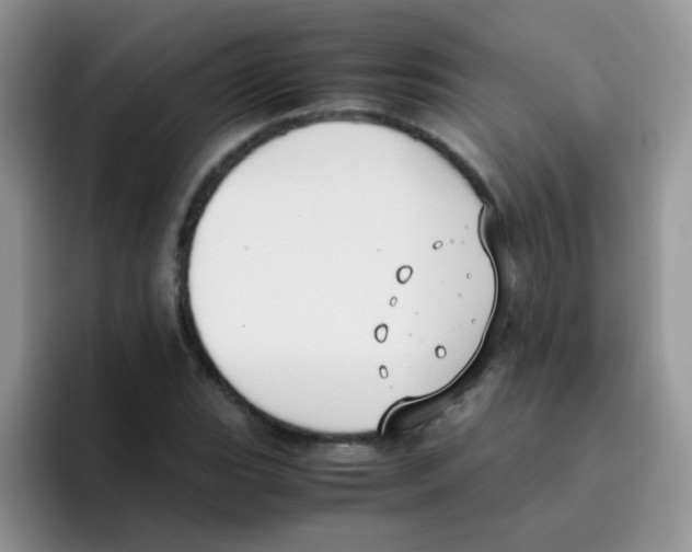 X0000095911119200802081047