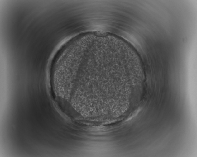 X0000095911120200802081047