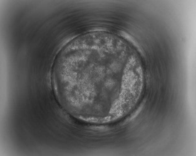 X0000095911121200802081047