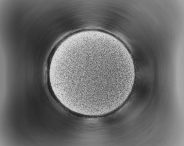 X0000095911126200802081047