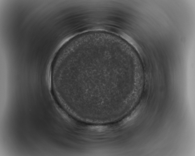 X0000095911127200802081047