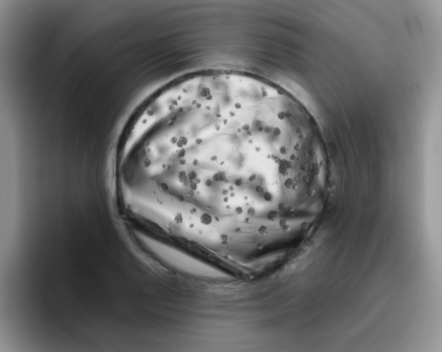 X0000095911128200802081047