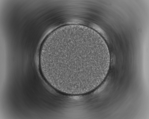 X0000095911130200802081047