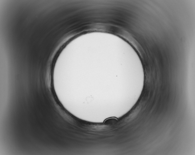 X0000095911131200802081047