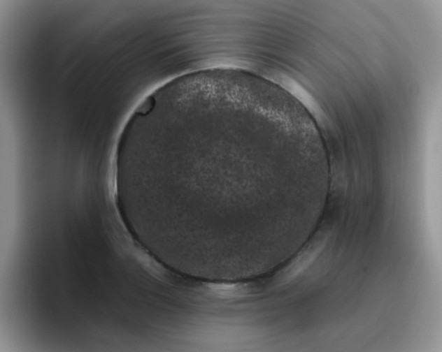 X0000095911132200802081047