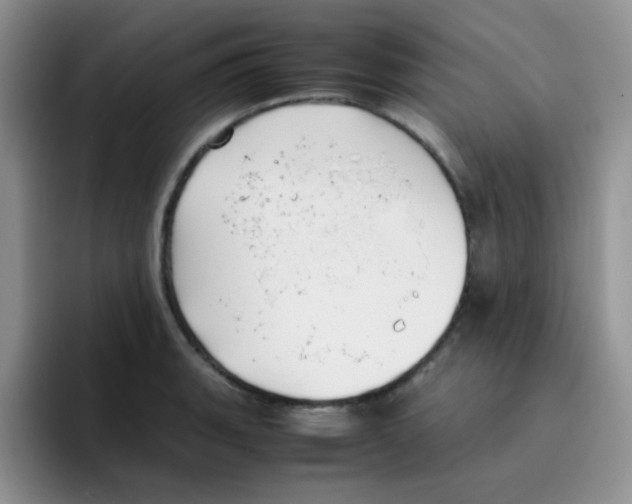 X0000095911135200802081047