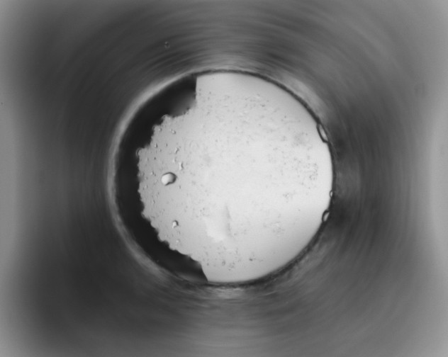 X0000095911136200802081047