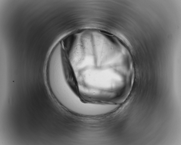 X0000095911138200802081048