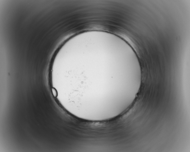 X0000095911139200802081048