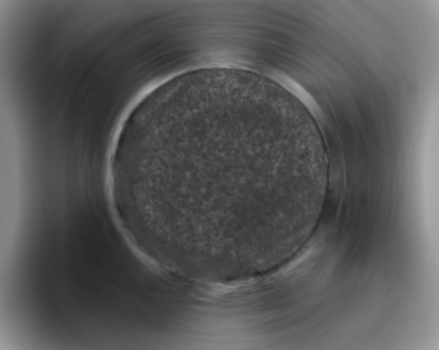 X0000095911144200802081048